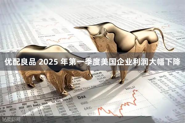 优配良品 2025 年第一季度美国企业利润大幅下降