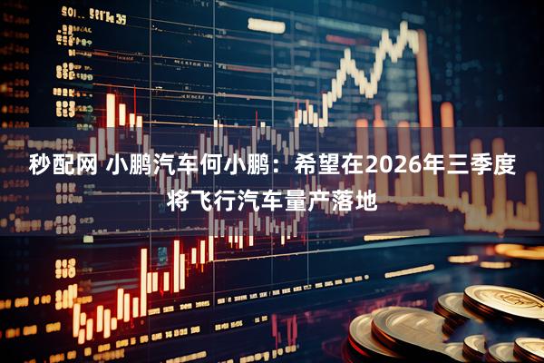 秒配网 小鹏汽车何小鹏：希望在2026年三季度将飞行汽车量产落地