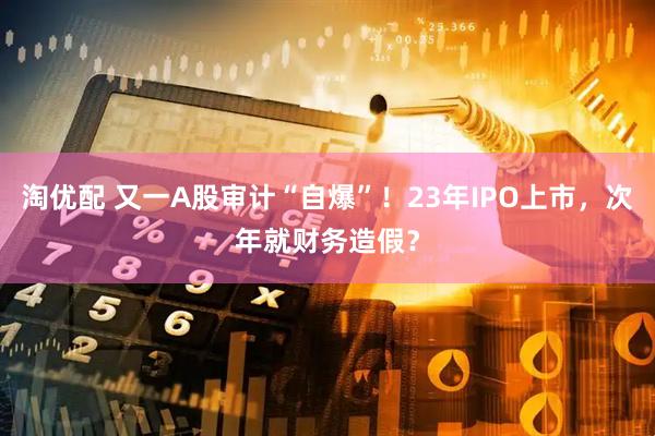 淘优配 又一A股审计“自爆”！23年IPO上市，次年就财务造假？