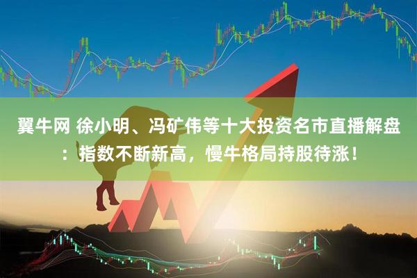 翼牛网 徐小明、冯矿伟等十大投资名市直播解盘：指数不断新高，慢牛格局持股待涨！