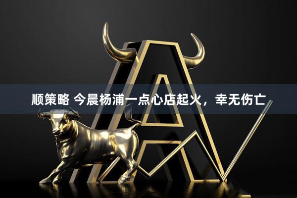 顺策略 今晨杨浦一点心店起火，幸无伤亡