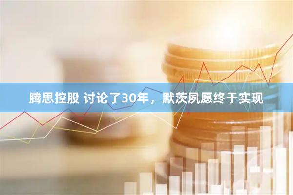 腾思控股 讨论了30年，默茨夙愿终于实现