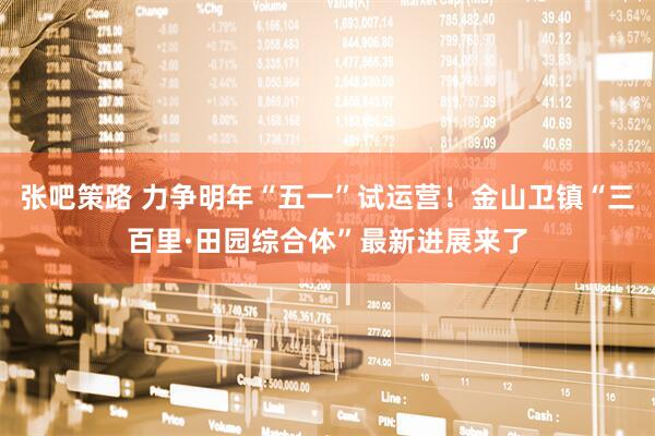 张吧策路 力争明年“五一”试运营！金山卫镇“三百里·田园综合体”最新进展来了